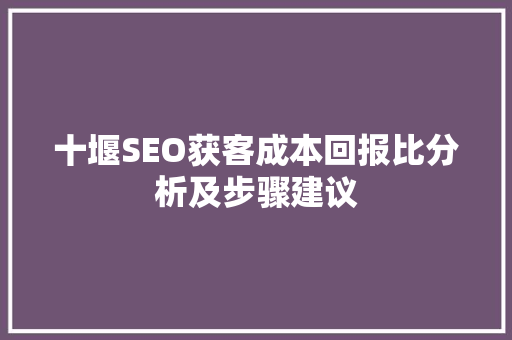 十堰SEO获客成本回报比分析及步骤建议