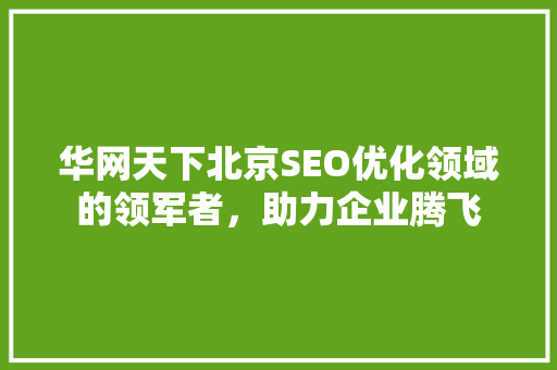 华网天下北京SEO优化领域的领军者，助力企业腾飞
