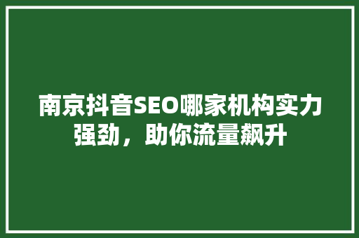 南京抖音SEO哪家机构实力强劲，助你流量飙升