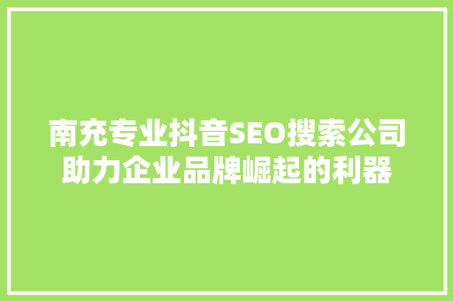 南充专业抖音SEO搜索公司助力企业品牌崛起的利器