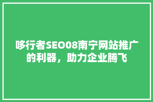 哆行者SEO08南宁网站推广的利器，助力企业腾飞
