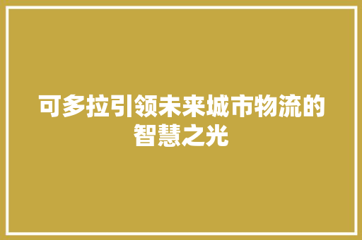 可多拉引领未来城市物流的智慧之光