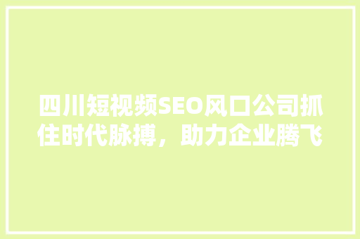 四川短视频SEO风口公司抓住时代脉搏，助力企业腾飞