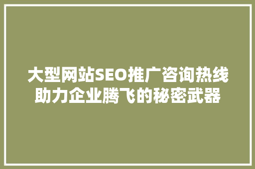 大型网站SEO推广咨询热线助力企业腾飞的秘密武器