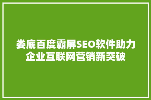 娄底百度霸屏SEO软件助力企业互联网营销新突破