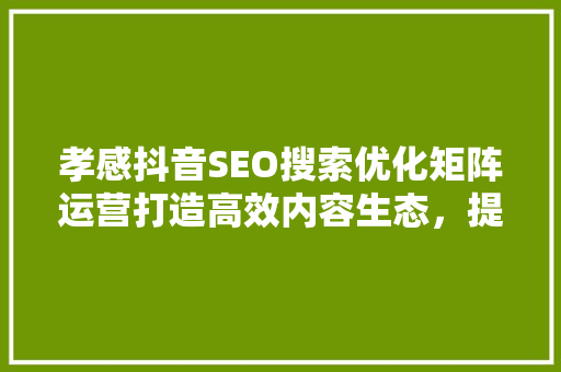孝感抖音SEO搜索优化矩阵运营打造高效内容生态，提升品牌影响力