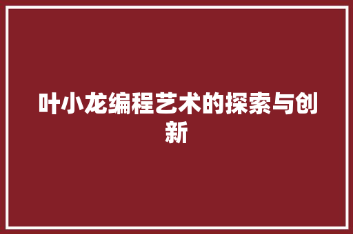 叶小龙编程艺术的探索与创新