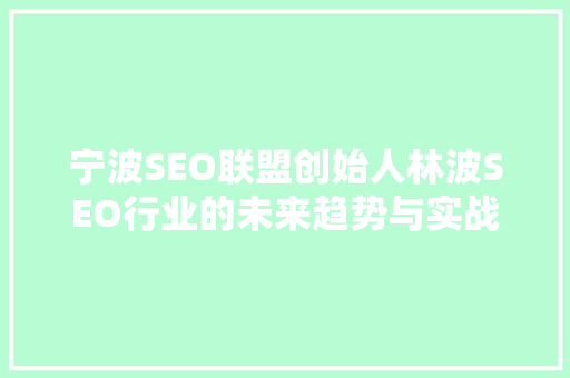 宁波SEO联盟创始人林波SEO行业的未来趋势与实战步骤