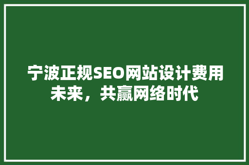 宁波正规SEO网站设计费用未来，共赢网络时代