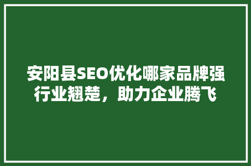 安阳县SEO优化哪家品牌强行业翘楚，助力企业腾飞