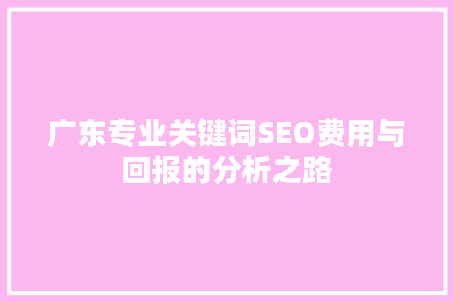 广东专业关键词SEO费用与回报的分析之路
