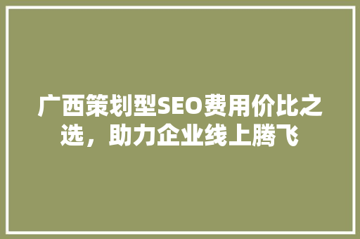 广西策划型SEO费用价比之选，助力企业线上腾飞