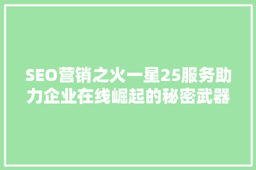 SEO营销之火一星25服务助力企业在线崛起的秘密武器