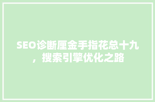 SEO诊断厘金手指花总十九，搜索引擎优化之路