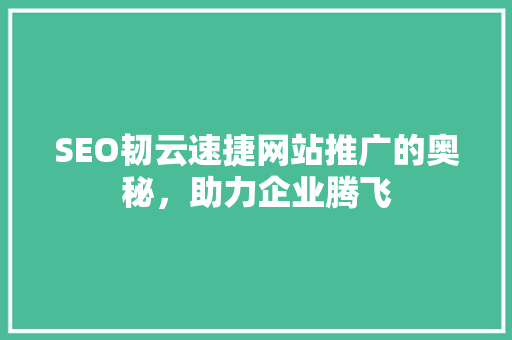 SEO韧云速捷网站推广的奥秘，助力企业腾飞