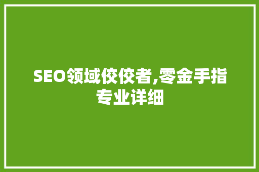 SEO领域佼佼者,零金手指专业详细