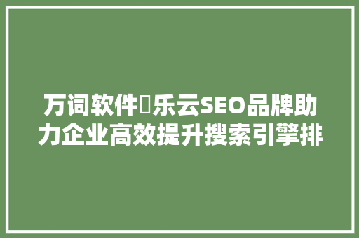 万词软件乚乐云SEO品牌助力企业高效提升搜索引擎排名的秘密武器