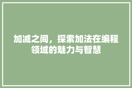 加减之间，探索加法在编程领域的魅力与智慧