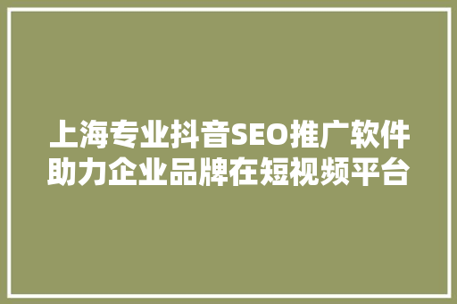 上海专业抖音SEO推广软件助力企业品牌在短视频平台脱颖而出