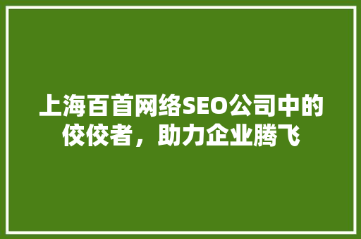 上海百首网络SEO公司中的佼佼者，助力企业腾飞