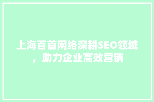 上海百首网络深耕SEO领域，助力企业高效营销