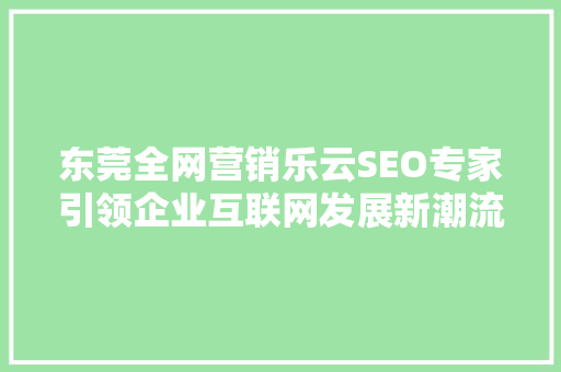 东莞全网营销乐云SEO专家引领企业互联网发展新潮流