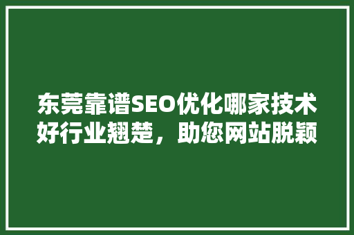 东莞靠谱SEO优化哪家技术好行业翘楚，助您网站脱颖而出