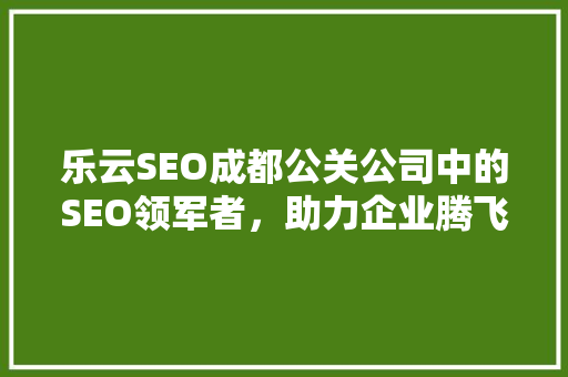 乐云SEO成都公关公司中的SEO领军者，助力企业腾飞