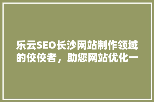 乐云SEO长沙网站制作领域的佼佼者，助您网站优化一臂之力