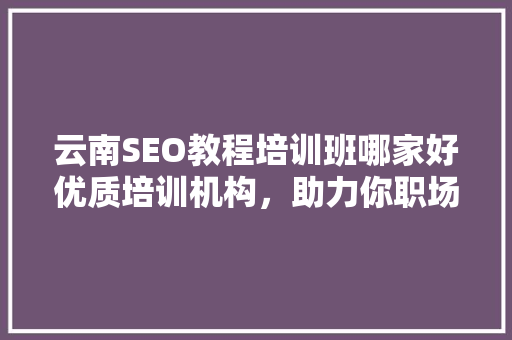 云南SEO教程培训班哪家好优质培训机构，助力你职场腾飞