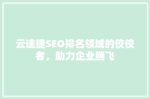 云速捷SEO排名领域的佼佼者，助力企业腾飞