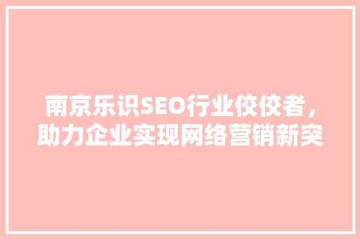 南京乐识SEO行业佼佼者，助力企业实现网络营销新突破