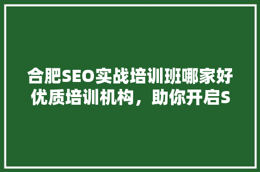 合肥SEO实战培训班哪家好优质培训机构，助你开启SEO优化之旅
