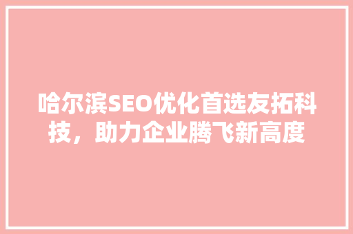 哈尔滨SEO优化首选友拓科技，助力企业腾飞新高度