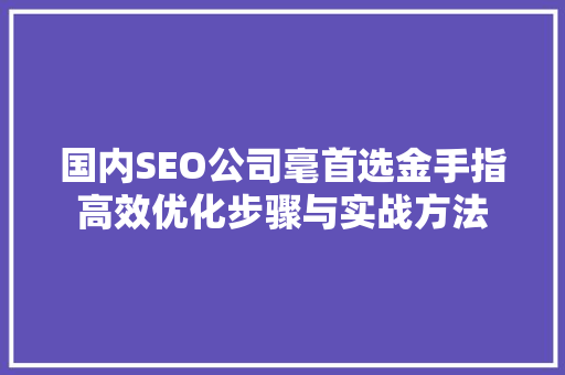 国内SEO公司毫首选金手指高效优化步骤与实战方法