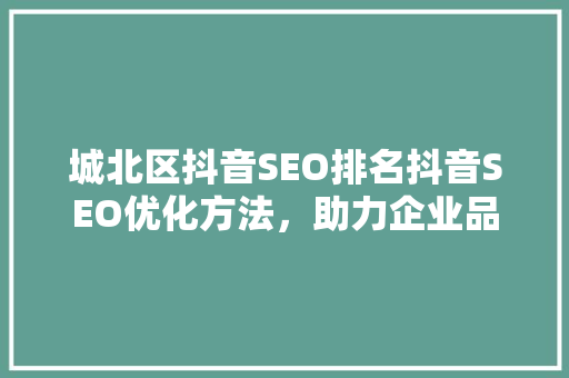 城北区抖音SEO排名抖音SEO优化方法，助力企业品牌腾飞