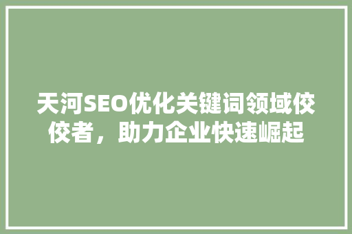天河SEO优化关键词领域佼佼者，助力企业快速崛起