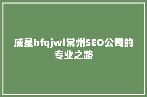 威星hfqjwl常州SEO公司的专业之路