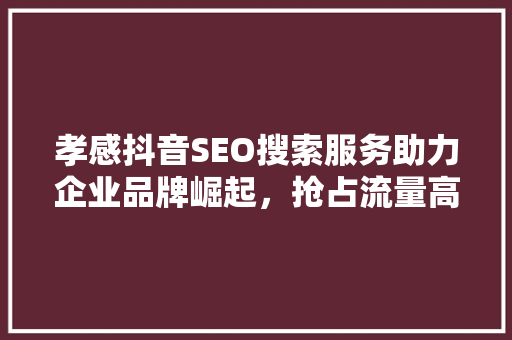 孝感抖音SEO搜索服务助力企业品牌崛起，抢占流量高地