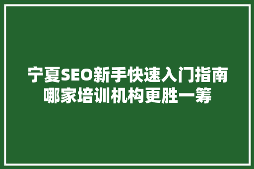 宁夏SEO新手快速入门指南哪家培训机构更胜一筹