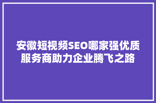 安徽短视频SEO哪家强优质服务商助力企业腾飞之路