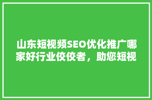 山东短视频SEO优化推广哪家好行业佼佼者，助您短视频内容脱颖而出