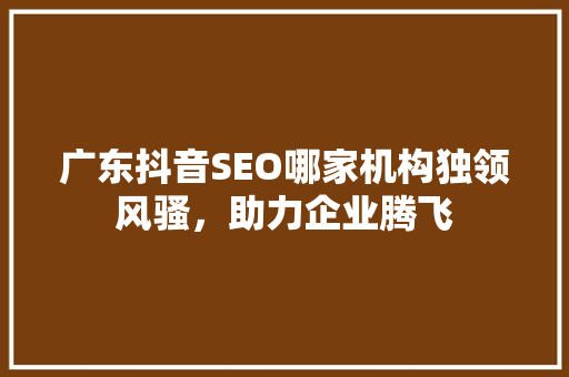 广东抖音SEO哪家机构独领风骚，助力企业腾飞
