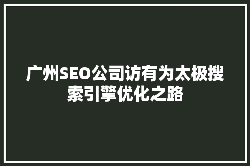 广州SEO公司访有为太极搜索引擎优化之路