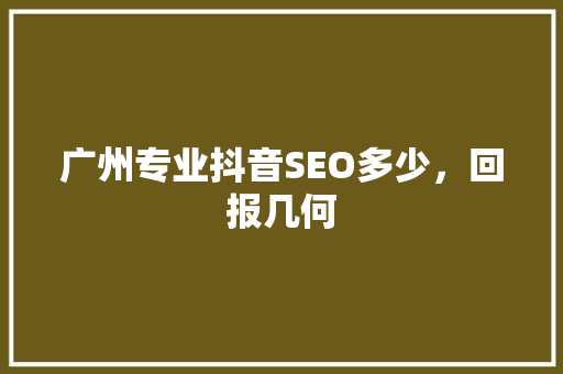 广州专业抖音SEO多少，回报几何