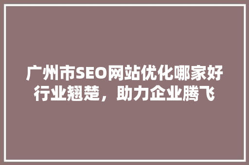 广州市SEO网站优化哪家好行业翘楚，助力企业腾飞