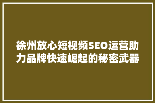 徐州放心短视频SEO运营助力品牌快速崛起的秘密武器
