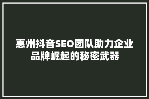 惠州抖音SEO团队助力企业品牌崛起的秘密武器