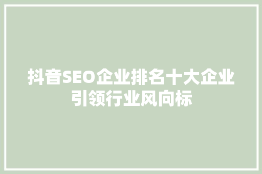 抖音SEO企业排名十大企业引领行业风向标