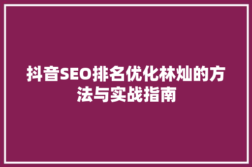 抖音SEO排名优化林灿的方法与实战指南